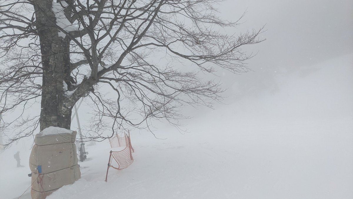ついに下の方も何も見えなくなった 