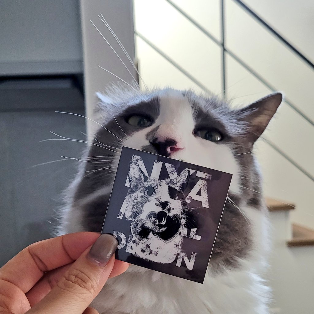 nyaametal222's tweet image. 【アイテム紹介】

①STICKER SET 🐾✨

このプロジェクトの世界観を
ぎゅっと詰め込んだステッカーセット。

PCに、楽器ケースに、
好きなところへ。

気軽に貼れて、
ちゃんと猫たちの応援になるアイテムです✌️