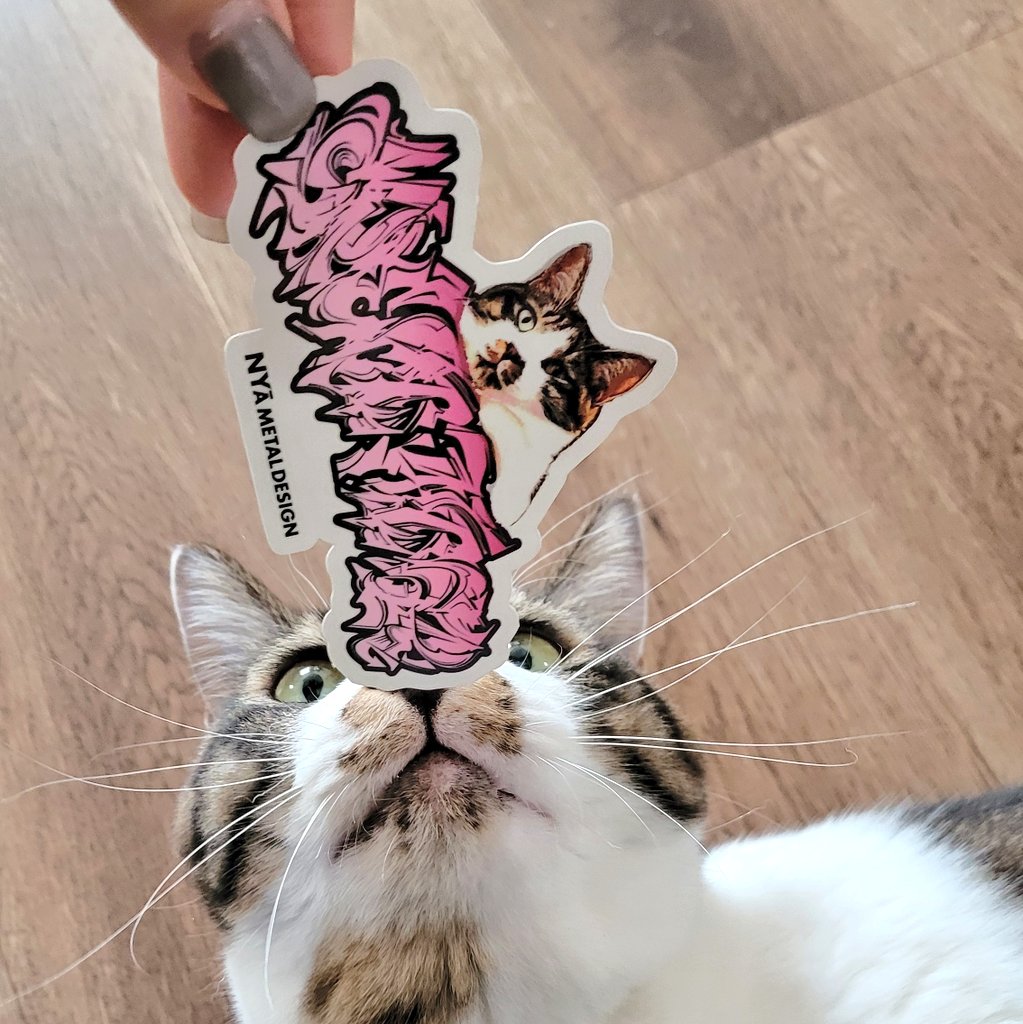 nyaametal222's tweet image. 【アイテム紹介】

①STICKER SET 🐾✨

このプロジェクトの世界観を
ぎゅっと詰め込んだステッカーセット。

PCに、楽器ケースに、
好きなところへ。

気軽に貼れて、
ちゃんと猫たちの応援になるアイテムです✌️