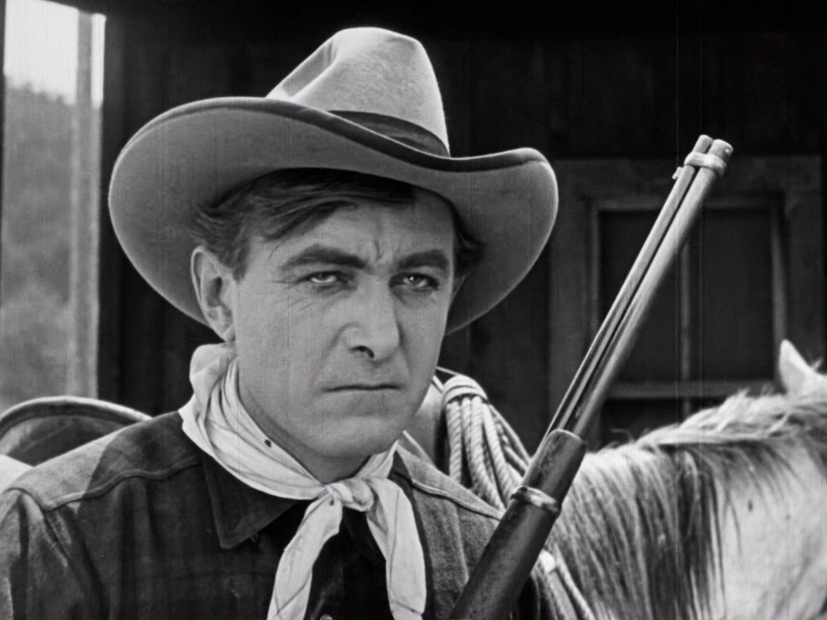 Night Danger tweet media