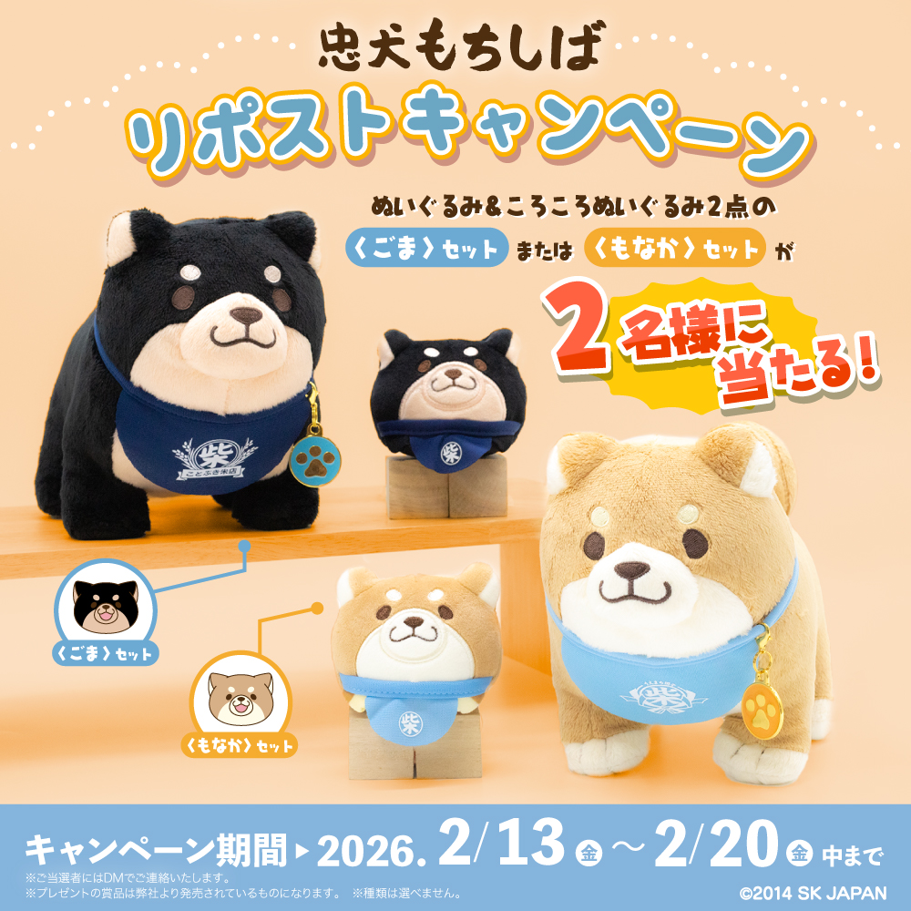 【リポストキャンペーン🎁】 

#忠犬もちしば の ぬいぐるみセットを
抽選で2名様にプレゼント✨

＜応募方法＞
①本アカウント(<a href="/c_mochishiba/">忠犬もちしば【公式】</a>)をフォロー
②こちらのポストをリポスト(2/20まで) 
※ご当選はDMでお知らせいたします。