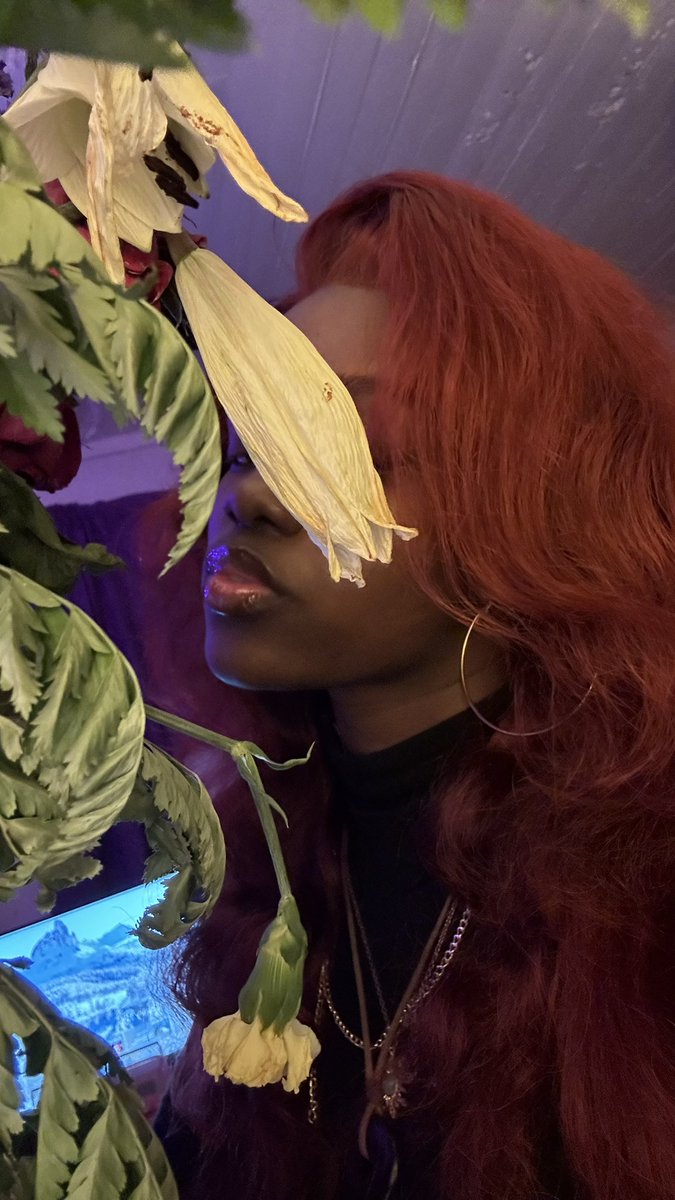 dae ⭐️ tweet media