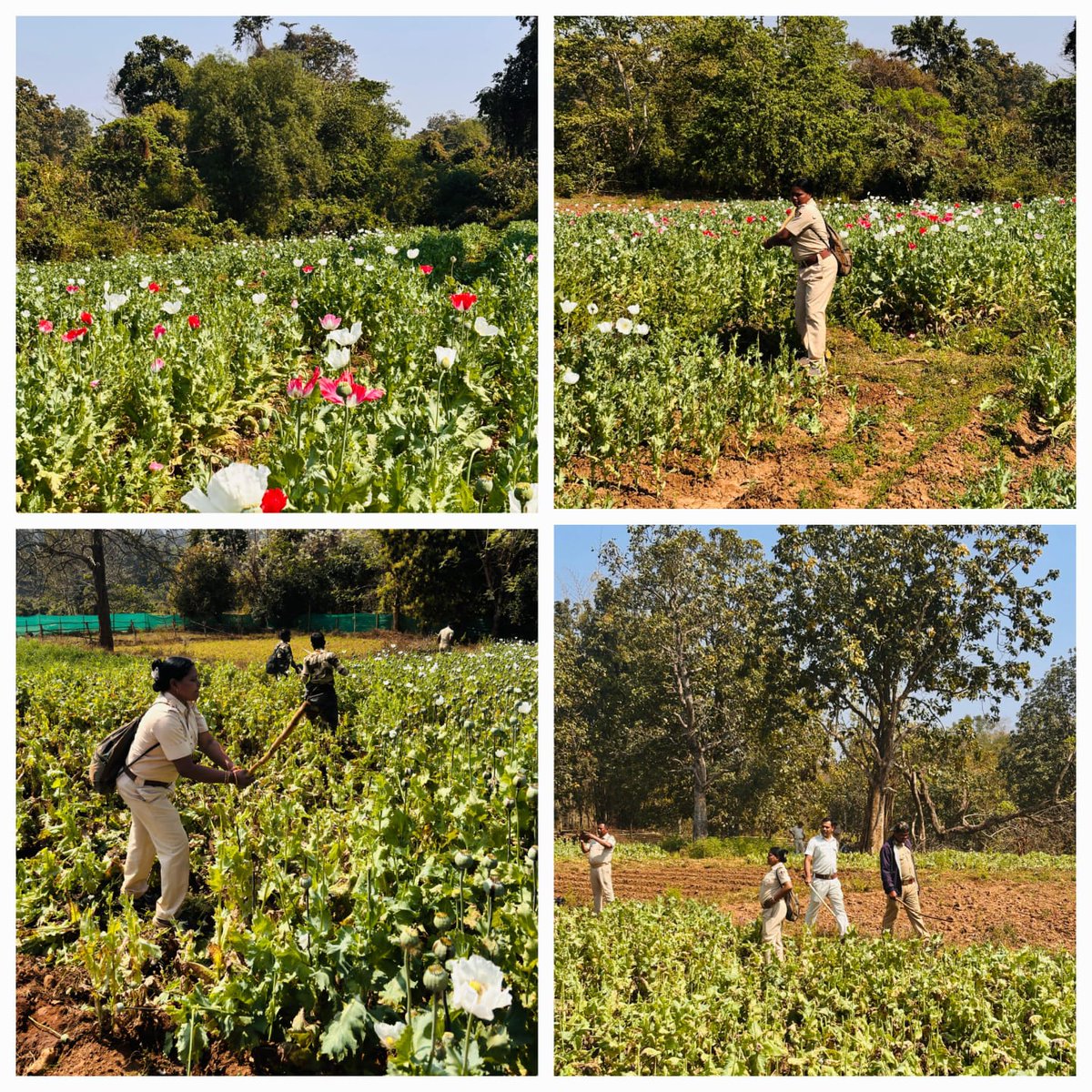 Excise Commissioner, Odisha tweet media