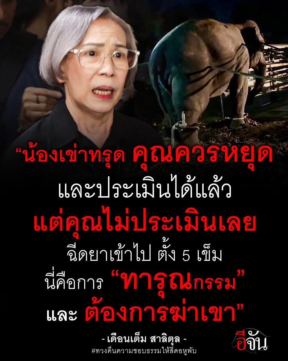 Engfa Waraha (ตัวจริง) tweet media