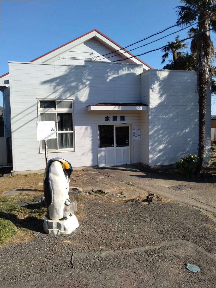 リニューアルした水族館、水槽の部屋は暖かくて寒い冬にはありがたい、レッサーのにかいの自販機のところも日当たりよくベンチで休めるのでたすかる　#桐生が岡動物園