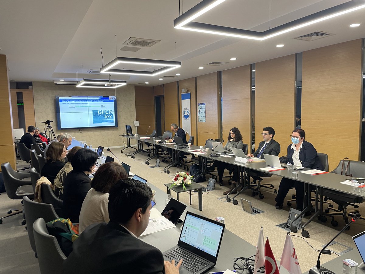 trabzonsumae's tweet photo. Karadeniz’de Güç Birliği 🌊🔬
GFCM &amp; GEF #FishEBM toplantısı kapsamında: 
✅ Bilimsel stratejiler belirlendi. 
✅ Enstitü gezisiyle SUMAE çalışmaları tanıtıldı. 
✅ Sosyal trip ve toplu fotoğraf çekimiyle bu önemli buluşma noktalandı.

#BlackSea #GFCM #GEF #DenizBilimleri https://t.co/VvPSTuyBSs