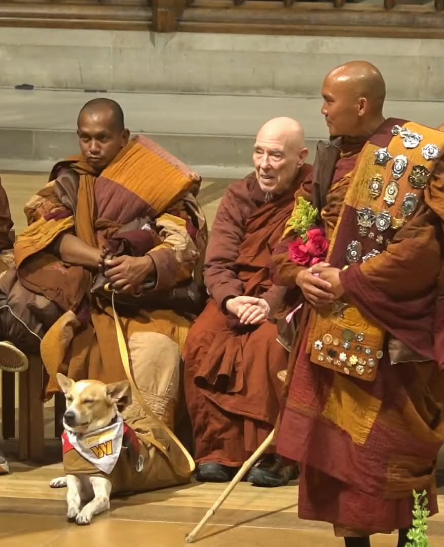 After lives of difficulty, dedication, discipline and devotion, Aloka and the venerable monks have chosen each other. Sangha.

Let us join together in revealing peace in our world.  Community.