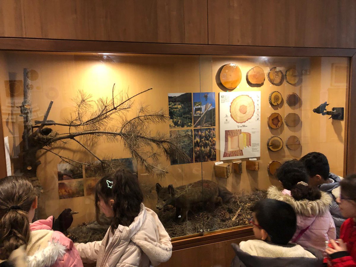 😎 …Öğrencilerimizin Gezi Keyfisi… 😎
75. Yıl Cumhuriyet Eğitim Müzesine,
Gezi Düzenledik…
#NihatBaşakarİlkokulu
<a href="/altindagmem/">Altındağ İlçe Milli Eğitim Müdürlüğü</a>
<a href="/HasanYILDIRIM61/">Hasan YILDIRIM</a>
<a href="/fevzibuyrukcu/">Fevzi Buyrukcu</a>