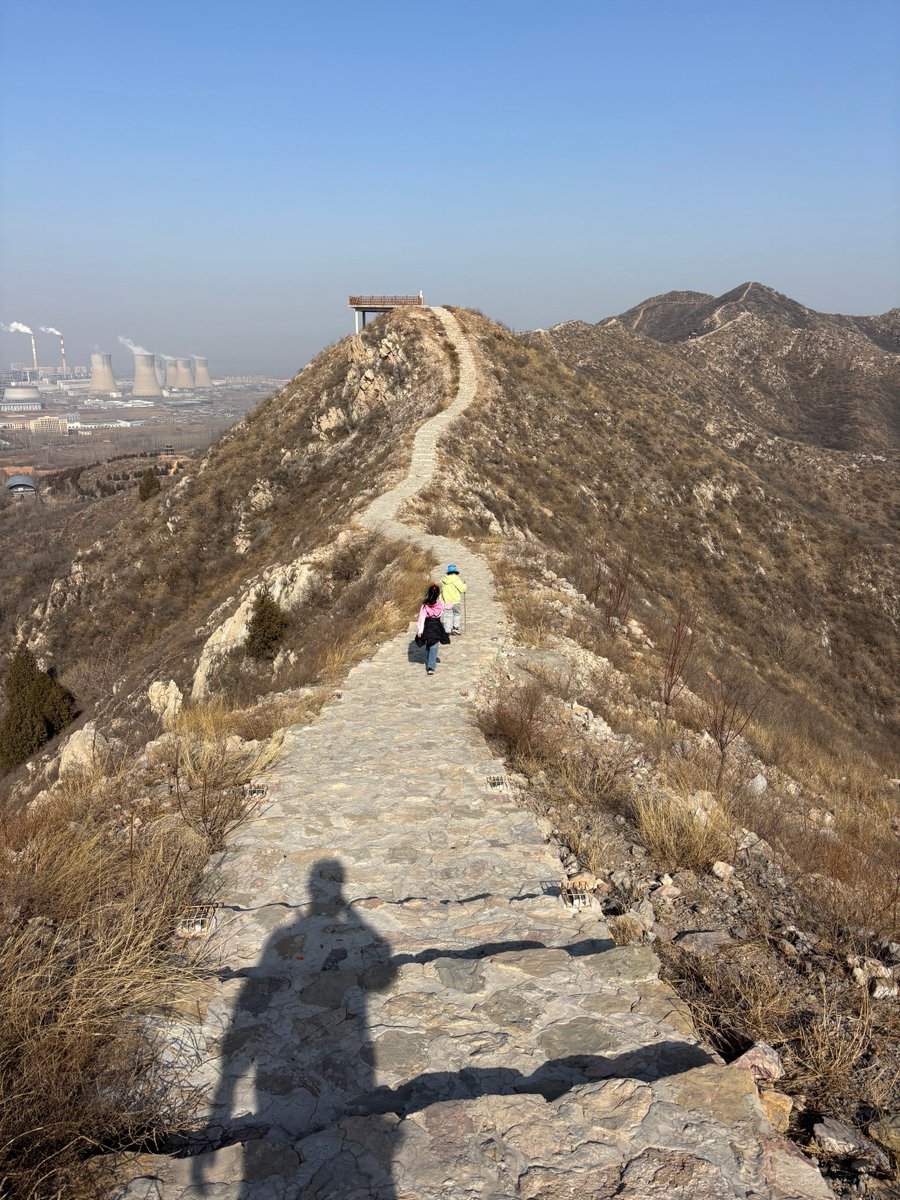 瘫痪饼 tweet media