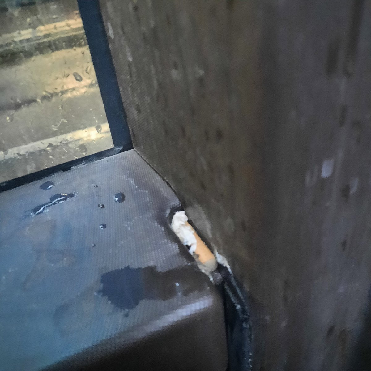 nicolasvigny's tweet photo. Mégot de cigarette dans le bus L5 (7h28 à Brulefoin direction SC) de @ginkovoyage - La place juste derrière le chauffeur. Certains manquent un peu de civisme... https://t.co/1ihsAX5bGM