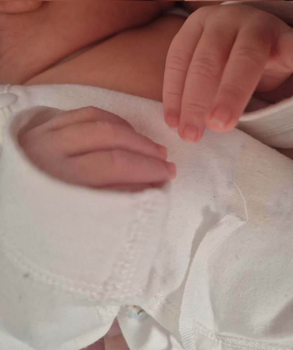 север не найден tweet media