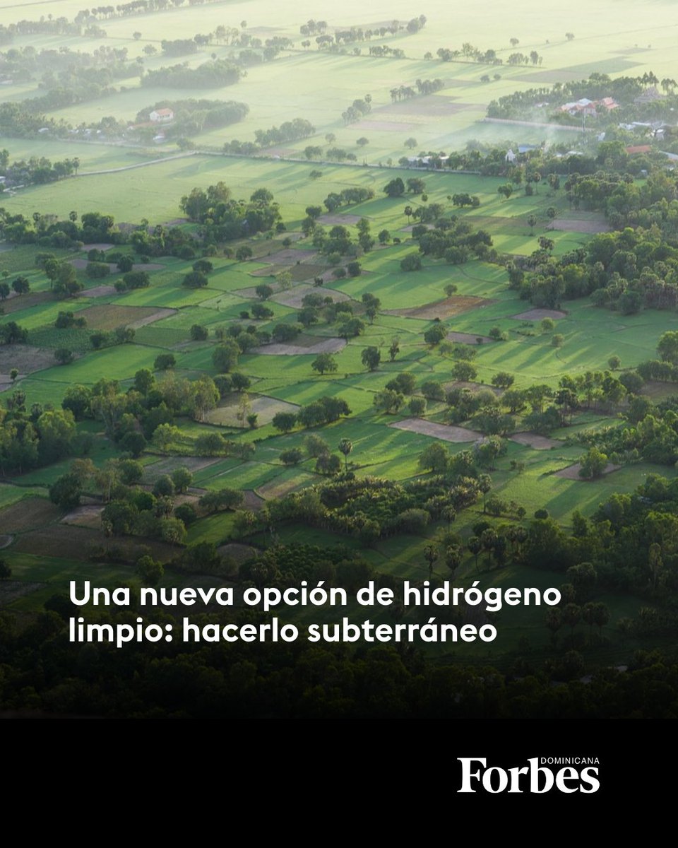 🌿 El llamado hidrógeno verde, producido únicamente con agua y energía renovable, es una opción, pero no es lo suficientemente económico como para reemplazar el hidrógeno industrial tradicional.

🔗 Más info: forbes.do/estrategia/una…