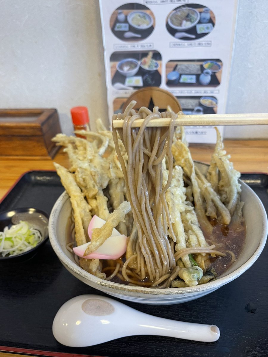 行け！フィンファンネル！

#ごぼ天そば
#そば処いしおか