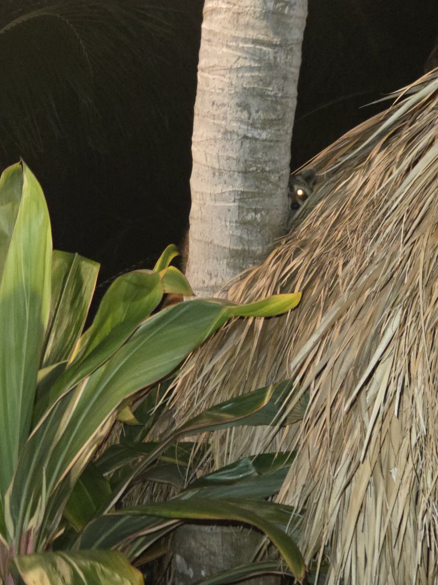 welyn 🎃 tweet media