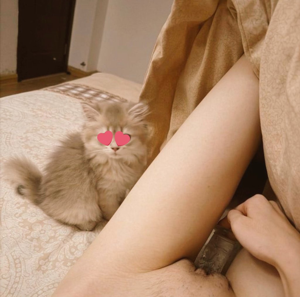 knottymillie's tweet photo. Just a good feeling to always have your dog around  can explore wit me 🥵💦😍🔗🤪https://t.co/xp3Wxjjx5l 
#nsfw #hentai #porn #dogcock #fetish #goon #gooner #knotted #breeding #bestiality #hentaibeast #cuckold #cuck #knot #dogslut https://t.co/L1IjRFznb7