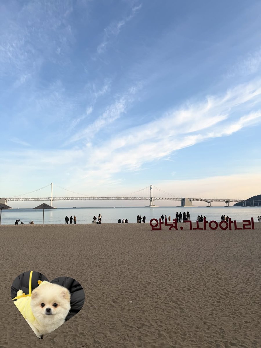 @pJuyeon’s meow meow 🐈⬛️ tweet media