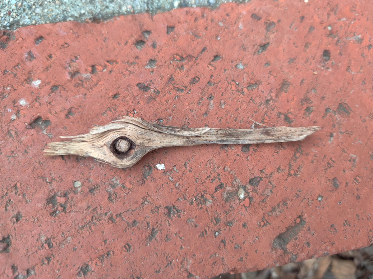 RT if you see what I see

and then in a reply tell me what time it is