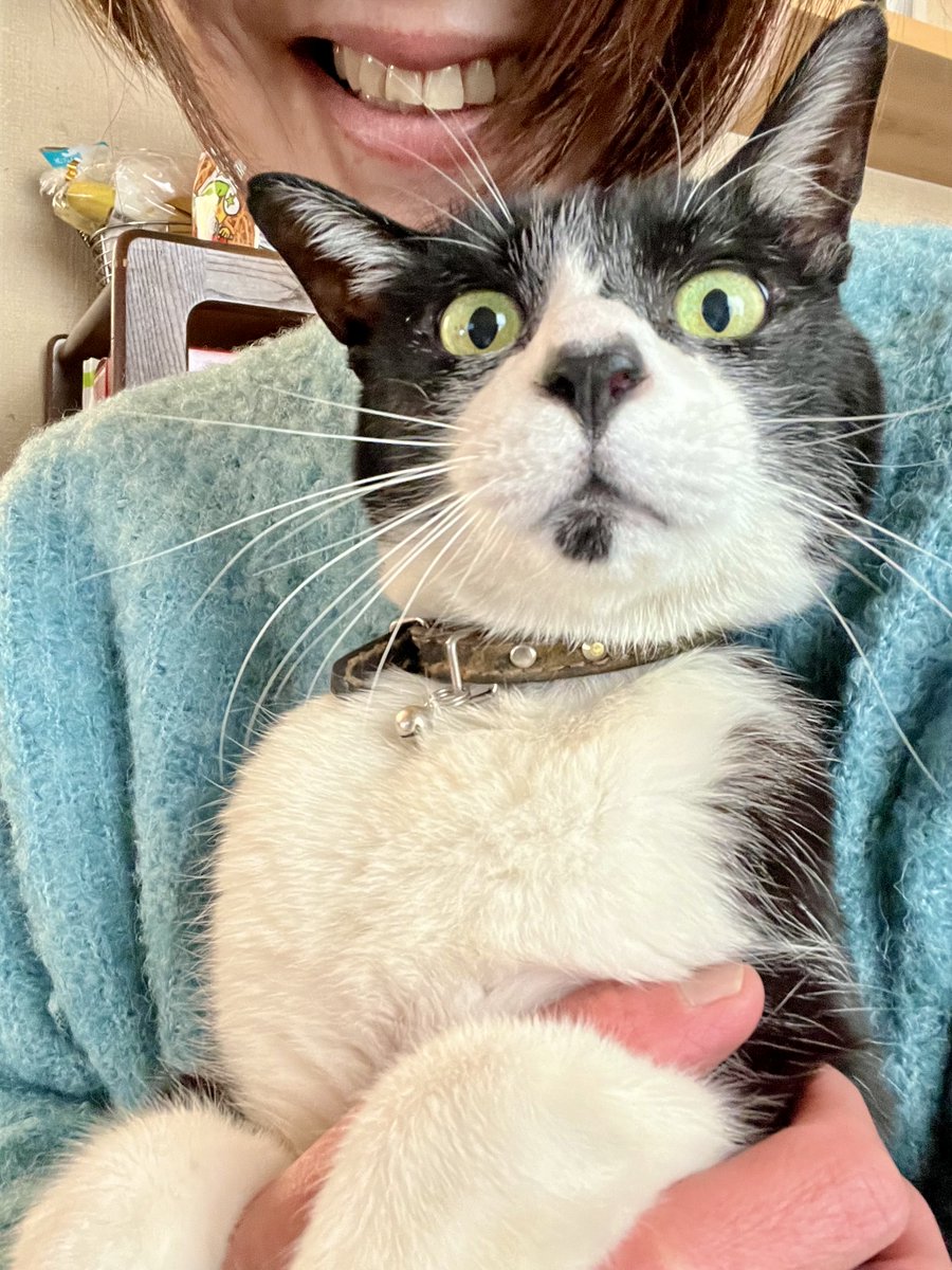 アチャ (@acha_acha04) / Posts / X