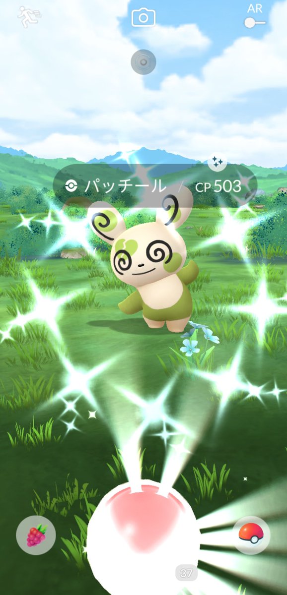 1207Family's tweet photo. フィールドリサーチ
今は通常のパッチールいらないんだけど

#ポケモンGO
#PokemonGO 
#パッチール
#色違い
#ハート模様 https://t.co/OI576ys4EX