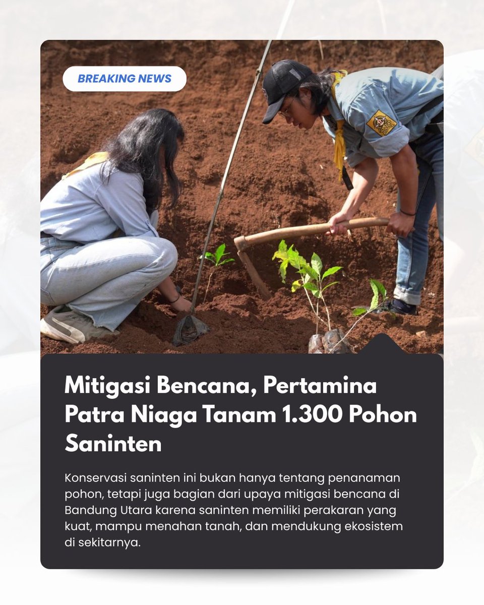 PortalEnergi's tweet photo. Top!!! Lakukan mitigasi bencana, Pertamina Patra Niaga tanam 1.300 Pohon Saninten.
#Pertamina #ProgramPertamina #Mitigasi #Reboisasi https://t.co/7jJ34pb2T8