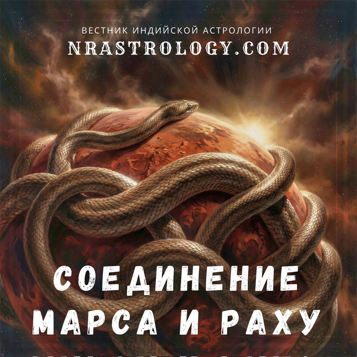 В феврале Марс постепенно начинает сближение с Раху, формируя одну из самых напряжённых комбинаций в индийской астрологии — Куджа Стамбхану, йогу, которая парализует волю и лишает действие внутреннего компаса.

Узнать больше:
nrastrology.com/marstransit