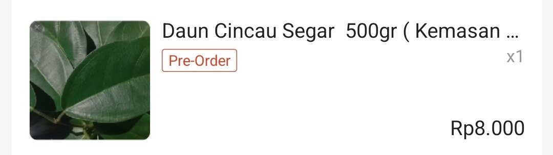 Bentar lagi puasa nih. Yang di rumahnya ada toddler, bisa banget ajak ngabuburit bikin es cincau bareng sekalian sensory play. Bahan utamanya daun cincau, daun cincau yang udah dicuci ditambahin air matang kemudian diremat dan disaring. Untuk kuahnya bisa pakai gula merah yang