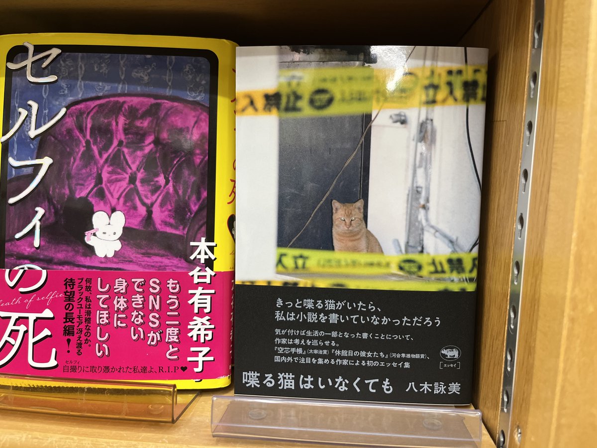 新刊入荷🐱】 八木詠美『喋る猫はいなくても』晶文社 気が付けば生活の