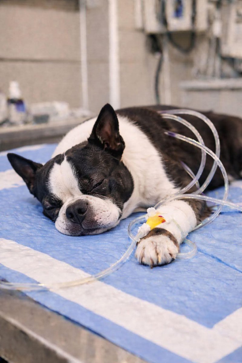 Kristina Bolten tweet media