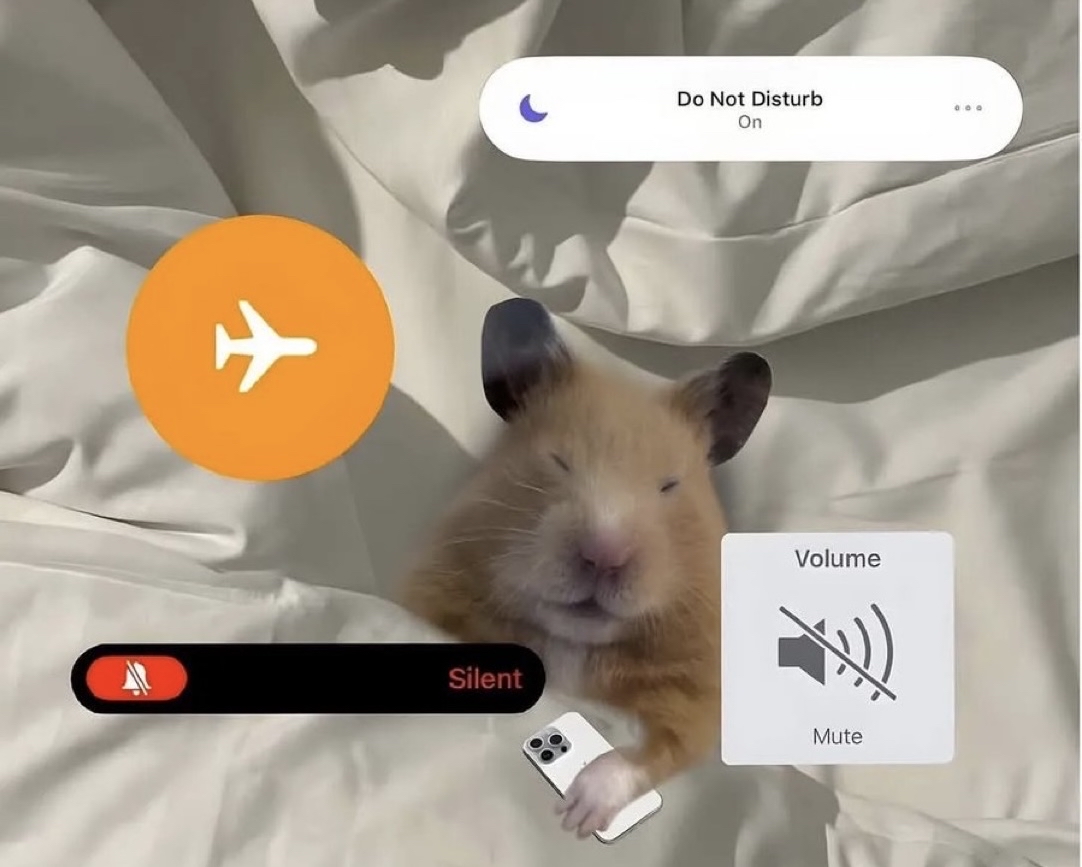 “Si me necesitas, solo llámame”

Yo: