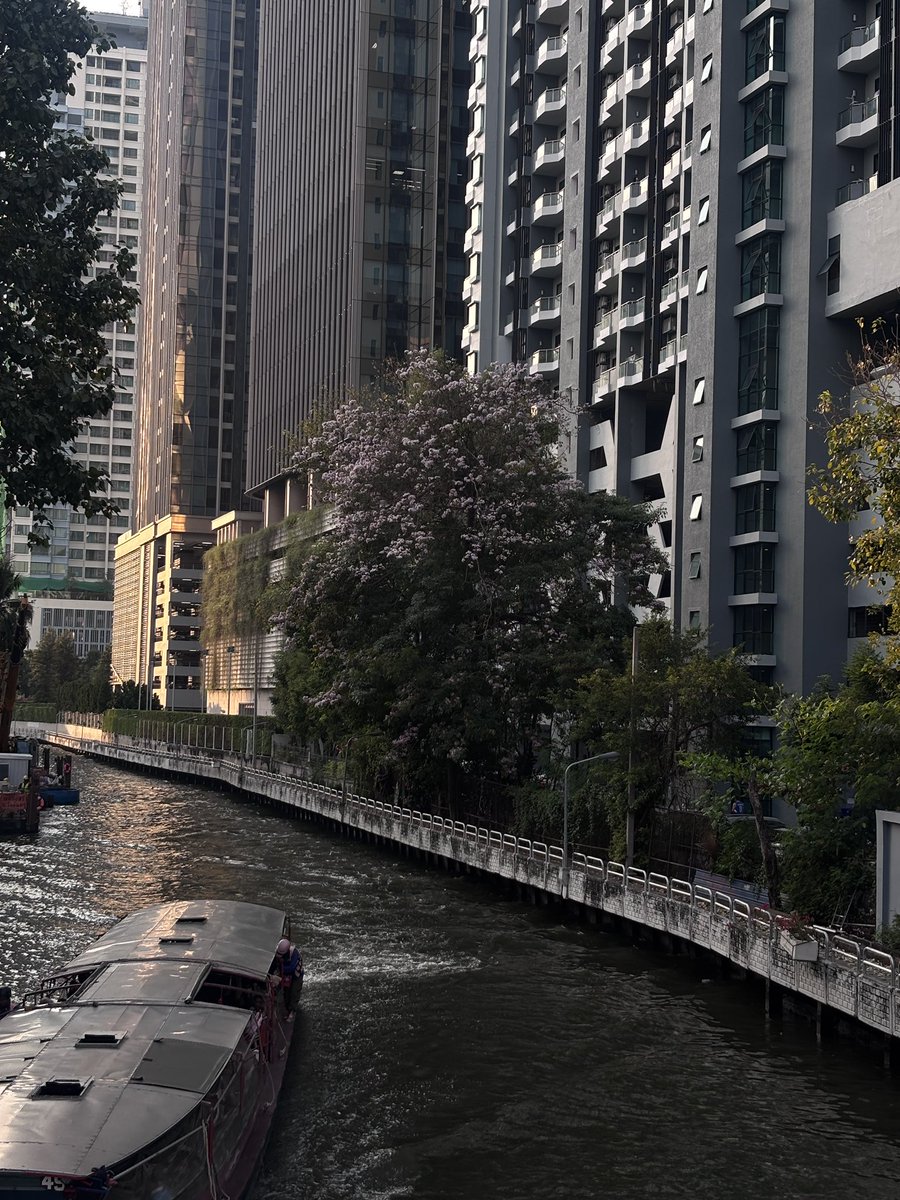 ช่วงนี้อยู่ดีๆสวูโรแมนติก5555555