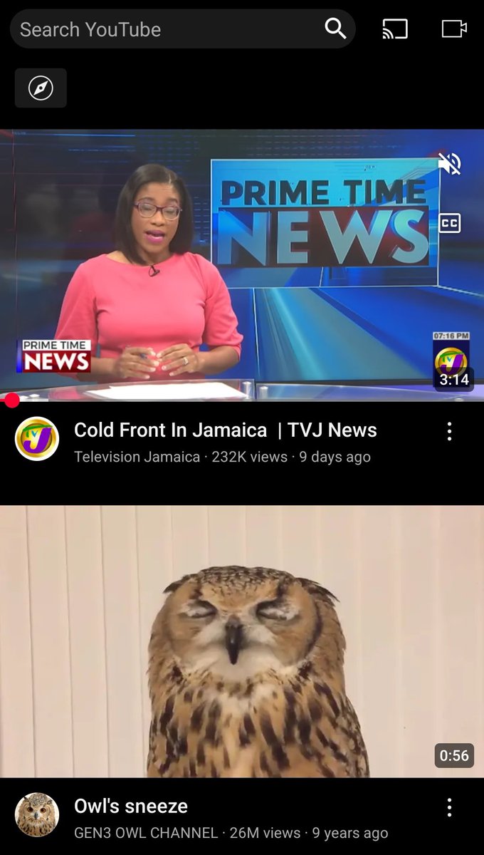 ItsJustAlk tweet media