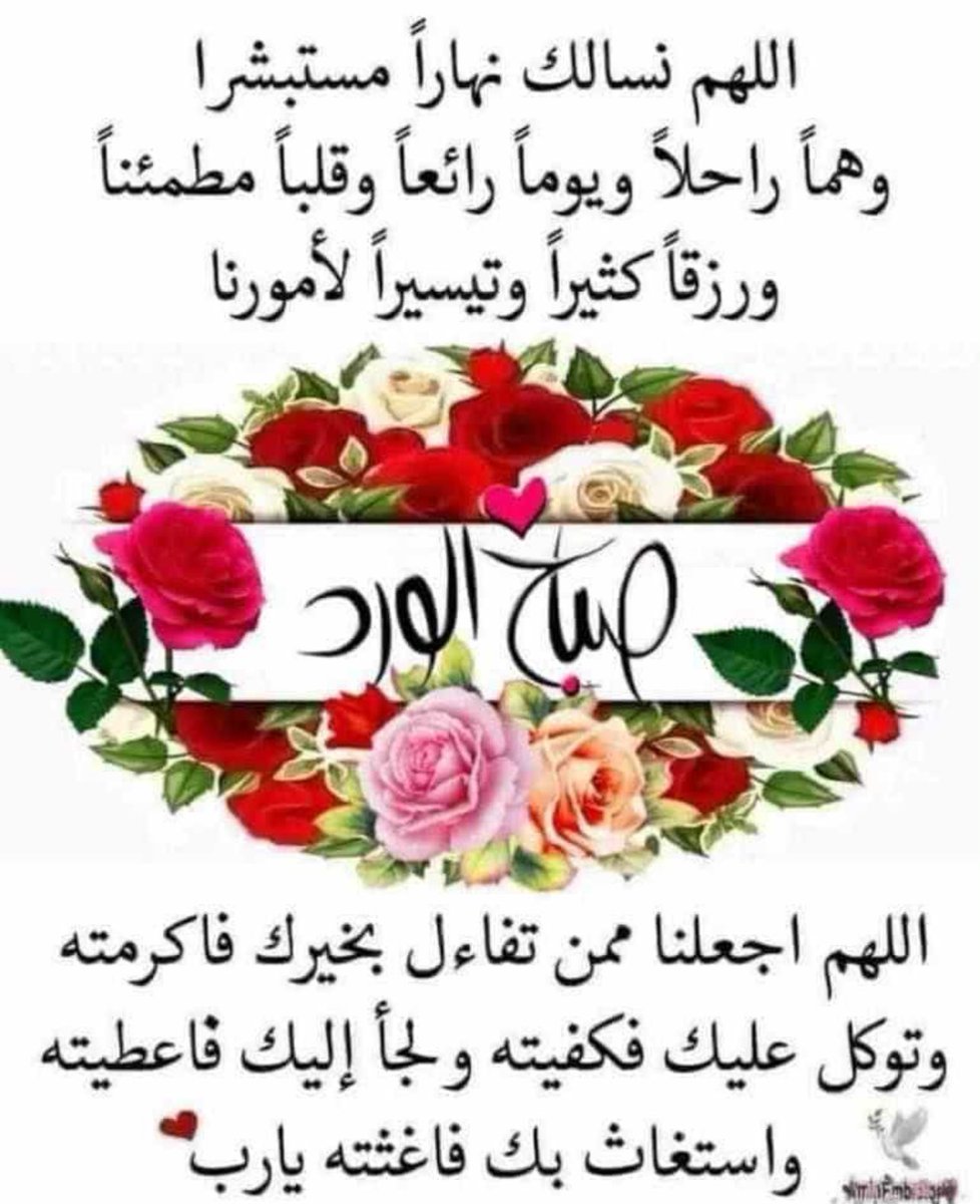 المتوكلة🇸🇦 tweet media