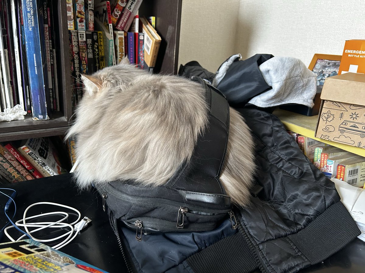 くぐってる！