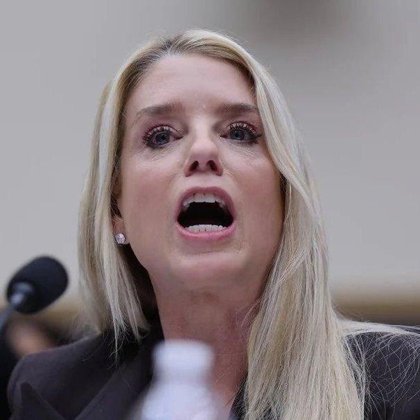 Molly Ploofkins tweet media