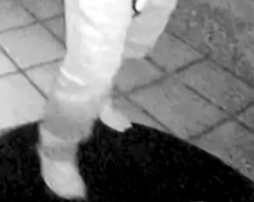 ENCHANTRESSGODDESS tweet media