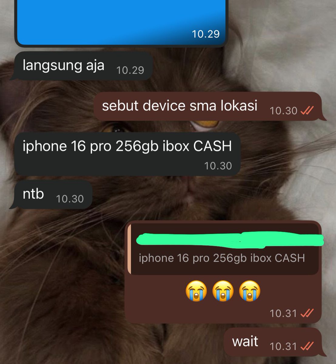 shock anjr KWWKWKWKWK