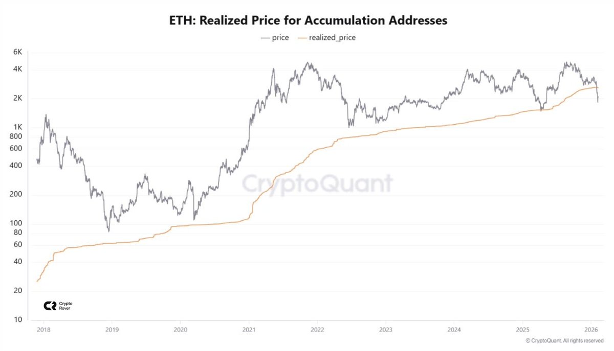 Crypto Rover tweet media