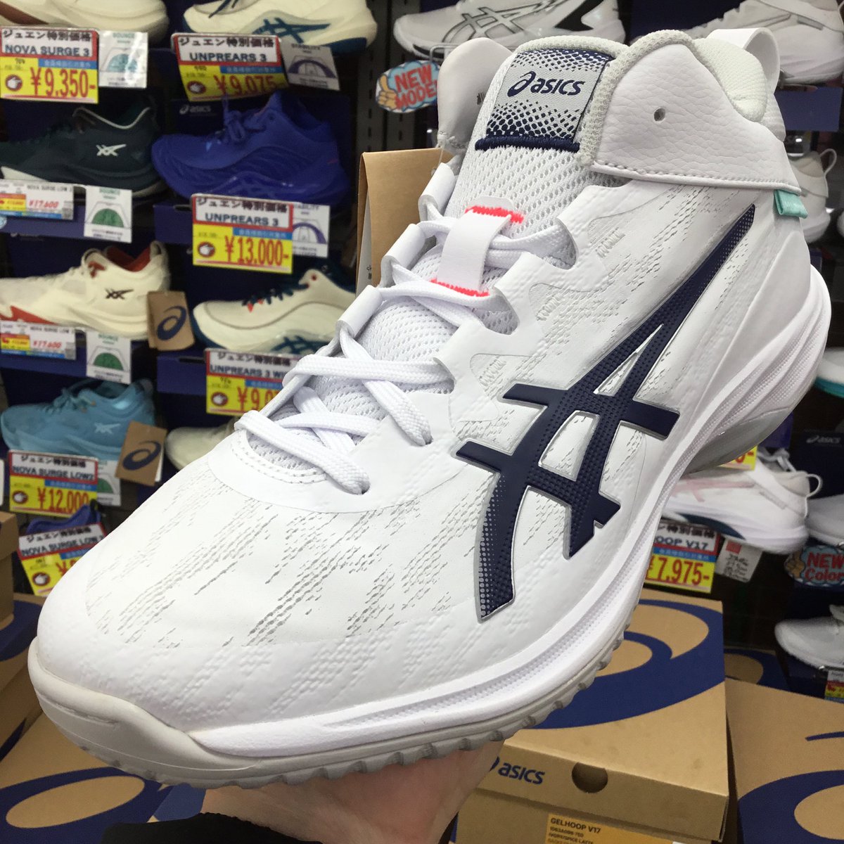 サイズ29.0cm、アシックス asics GELHOOP V17 STANDARD (ゲルフープ 
