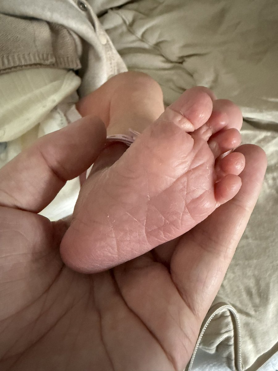 KC Noereau tweet media