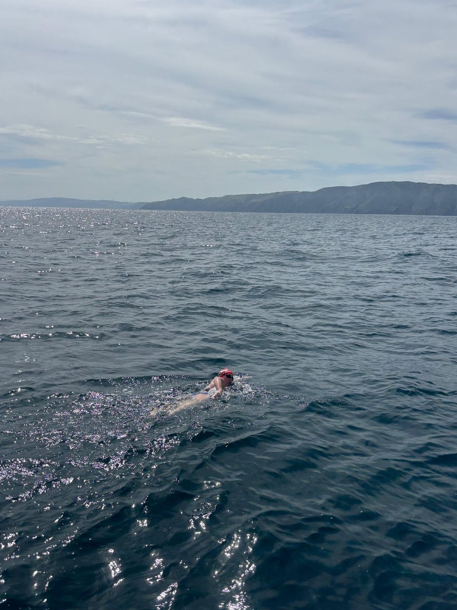 RedTopSwim tweet media