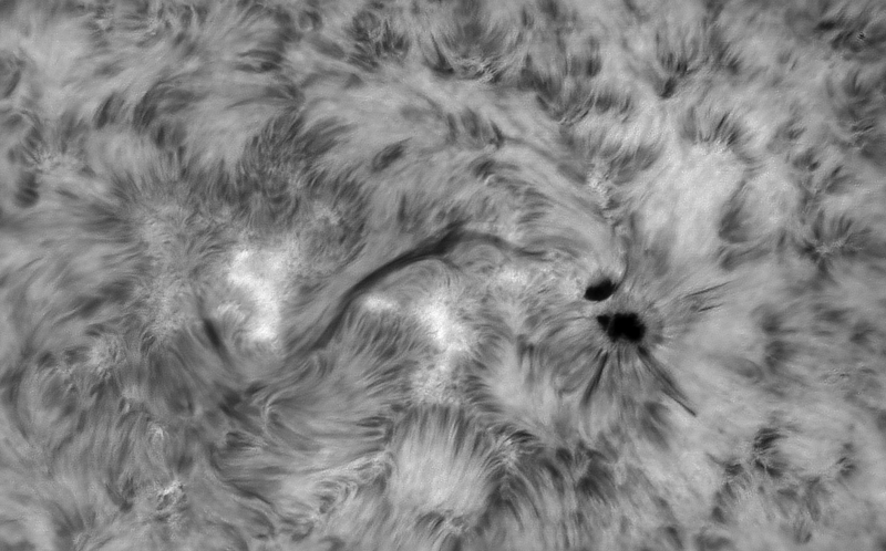 本日の太陽です。
AR4373附近です。　シーイングはいくらか良くなりましたが強めの北風が吹いています。
2026.02.12 02:15UT (11:15 JST)
200mmF12 x2.5, Daystar QuantumSE 0.28Å, ASI-174MM, Pentax MS-5 NS5000