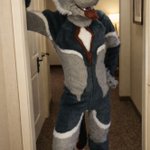 Photo by Onefurall Studios (@Onefurallstudio)