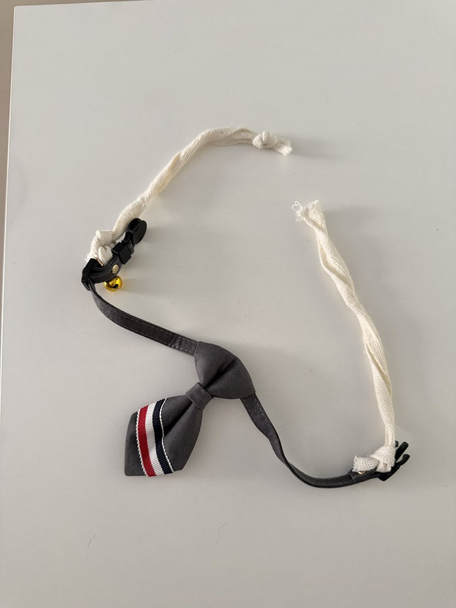 เนคไทยืมแมวจิ๋วมา มันพันไม่รอบคอเซฟงะ
แล้วสายนั้นไม่ใช่เชือก มันคือสายของถุงกระดาษ
แล้วเซฟเดินรอบงานเสียงดังกรุงริ๊งๆ555555555555555555555