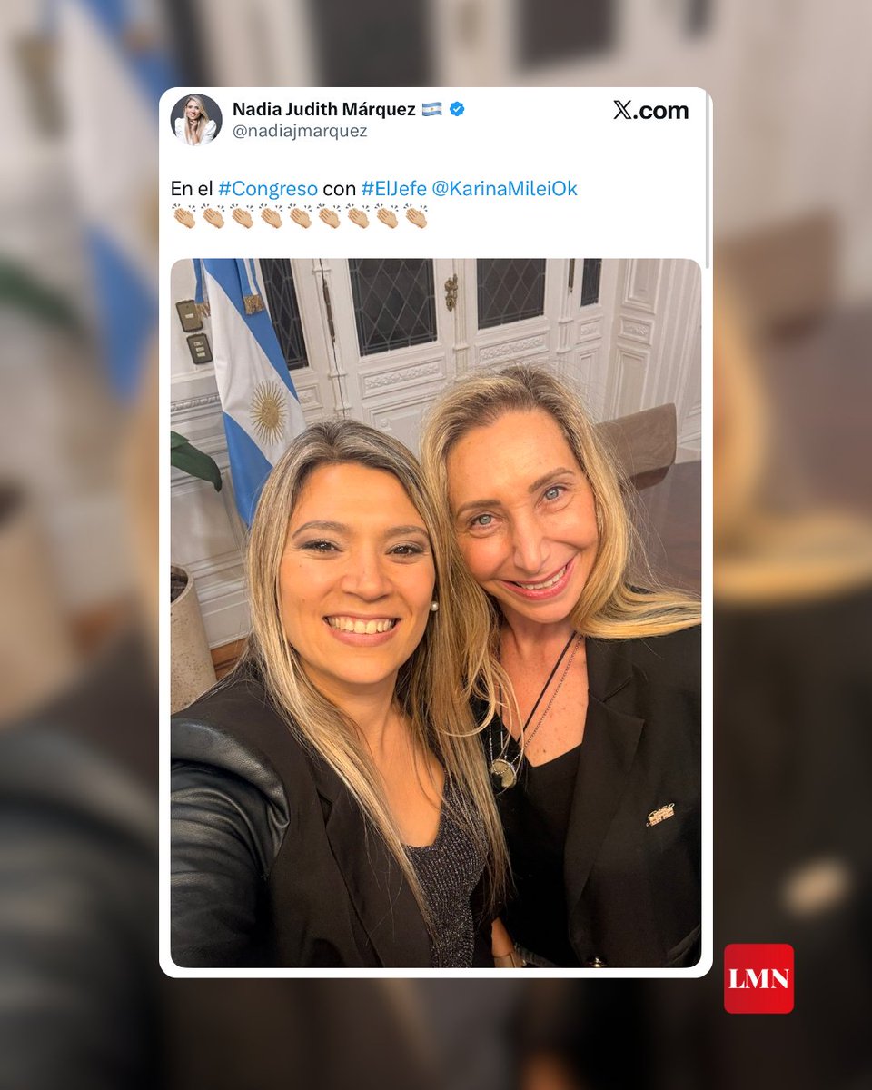 LM Neuquén tweet media