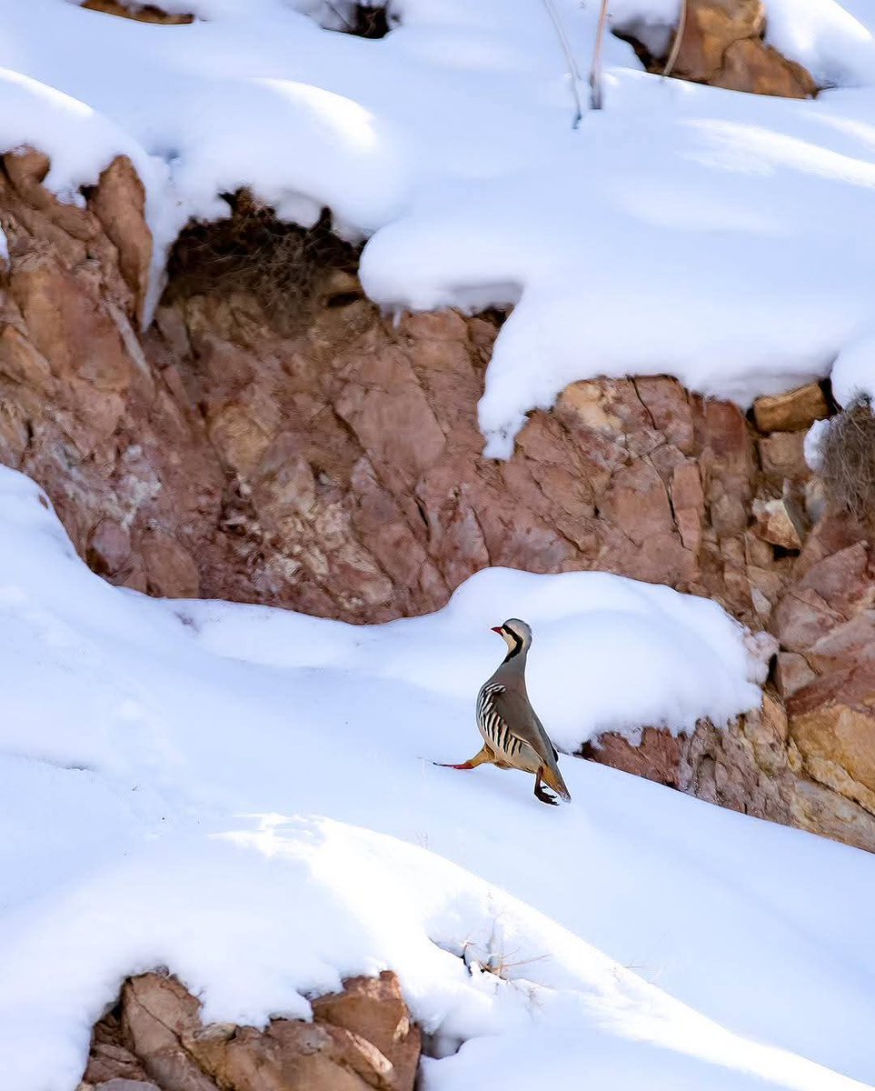 YÖRÜK🇹🇷🍀 tweet media