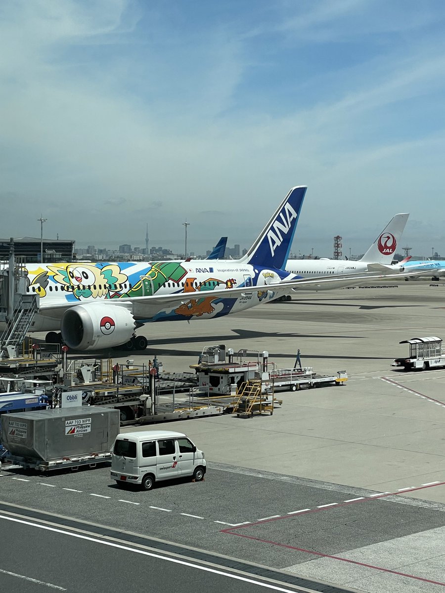 🐱💔 tweet media