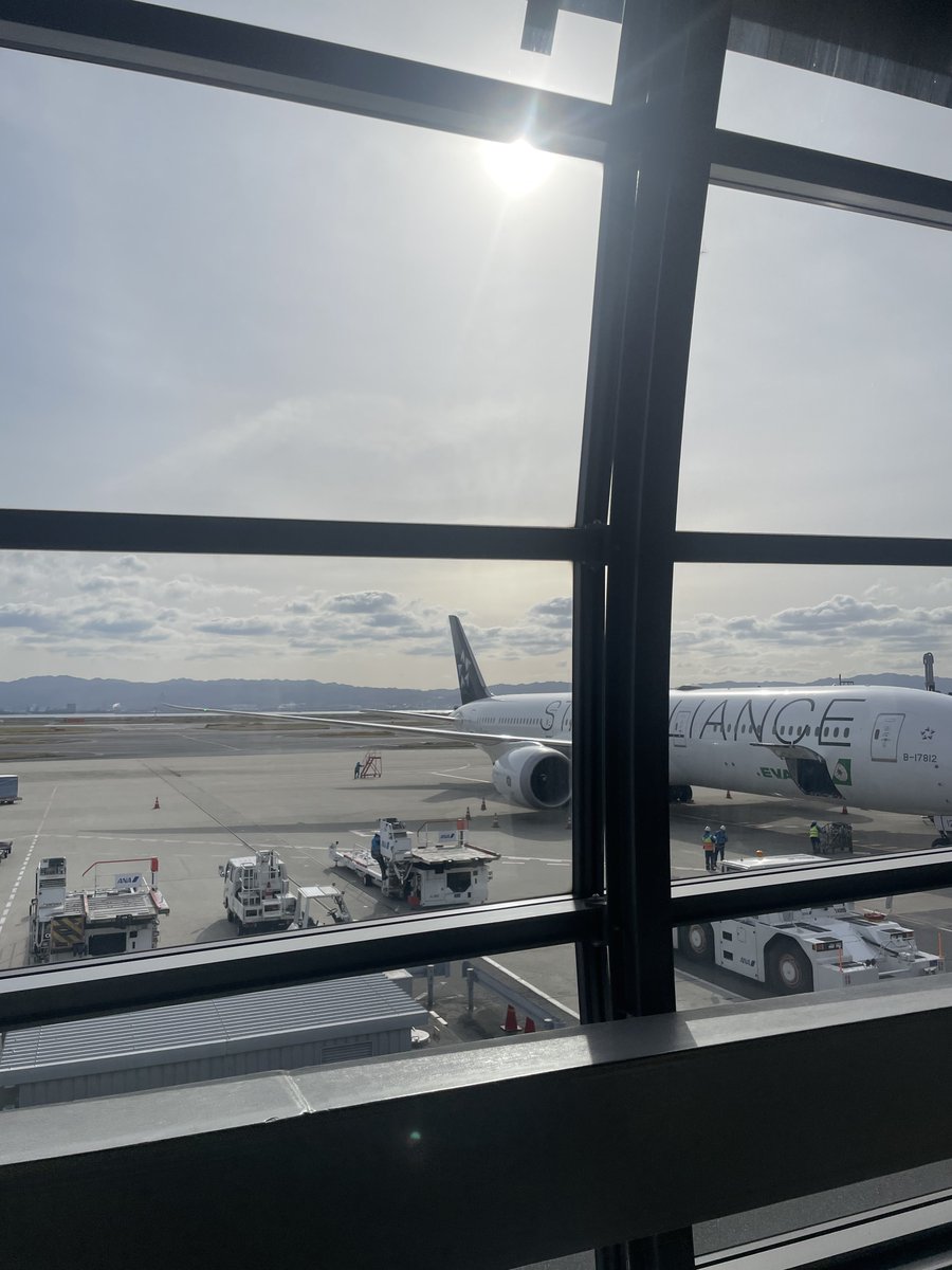 🐱💔 tweet media