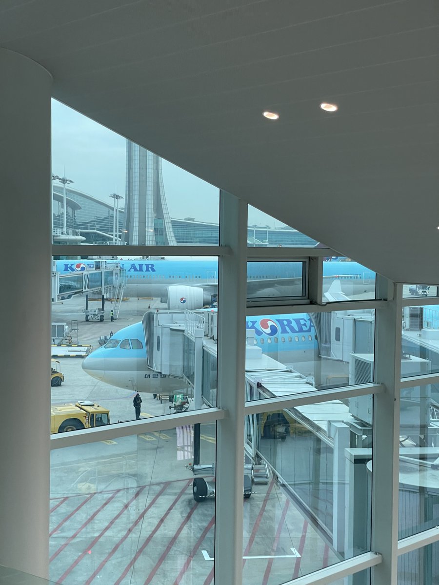 🐱💔 tweet media