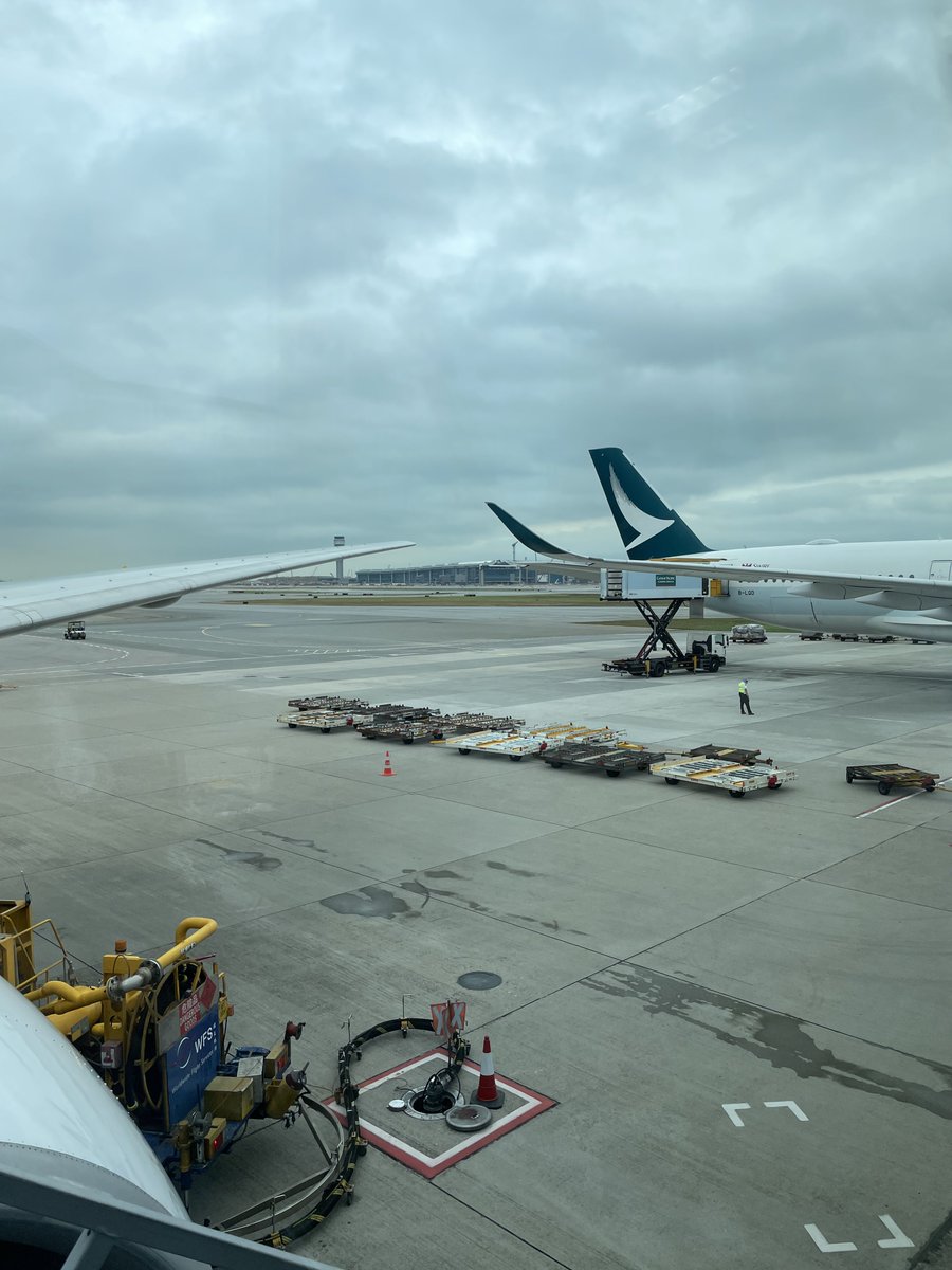 🐱💔 tweet media