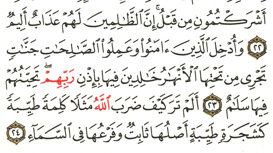 _7_l00's tweet photo. سوره ابراهيم  تفسير السعدي 
 #صلاه_الاستسقاء #الخميس_الونيسᅠ
 #صيام_الخميس #قرآن 
#تدبر_القرآن #تدبر_آية https://t.co/vqknyxkqsK
